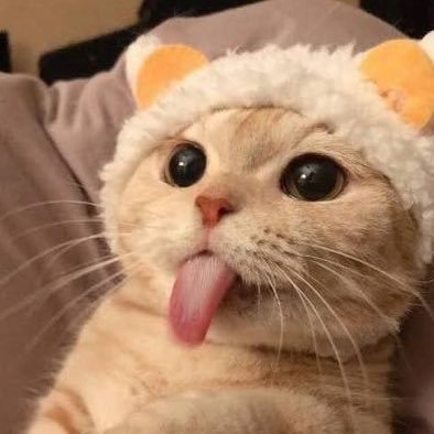 catfunnyvideoss's profile picture. 