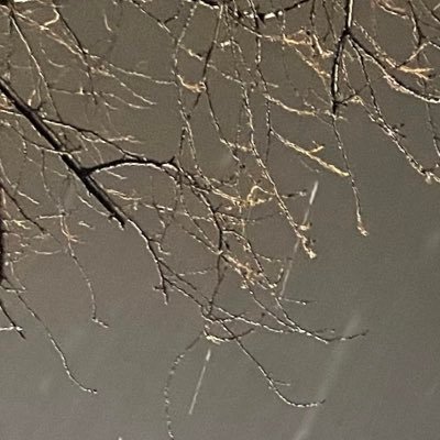 foocluster's profile picture. ラバッパーになります！物理を学んでいます。