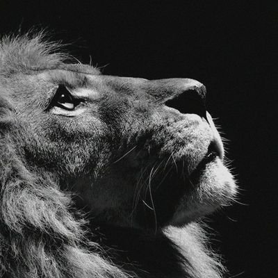 VidyutVyom's profile picture. CA & CS dropout |
On X to voice opinions on everything |
Reposts ≠ endorsements |