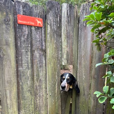 RJReag's profile picture. 