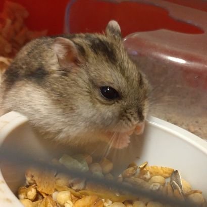 9lwzvmDPM46460's profile picture. なんもないよ