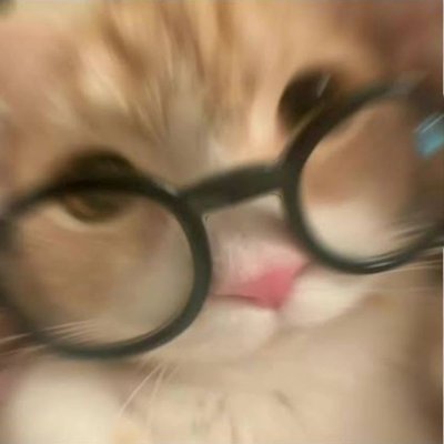 soutudies's profile picture. apenas uma bicho do mato tentando sair da zona de conforto e ser gente