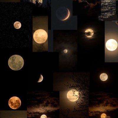 KilicRiza_'s profile picture. 