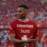 lf_c23's profile picture. @lfc