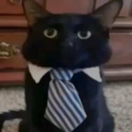 HamzaKhaliqVO's profile picture. 🍉
