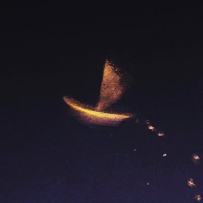イラストレーター|しずかな夢に、やさしさを灯す|装画やMVイラスト|お仕事のご連絡はこちらからお願いいたします https://t.co/yQd64ptTTt