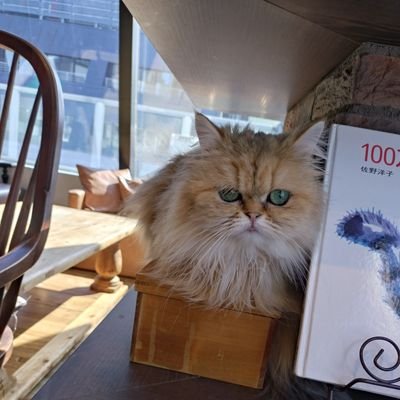 Sky_5161's profile picture. MBS13期/狐百合(@kitsuneyuri_928)3rd🦊/eternners(@eternners_MBS)Top🫶/目印は身長(125cm)/野球ファン