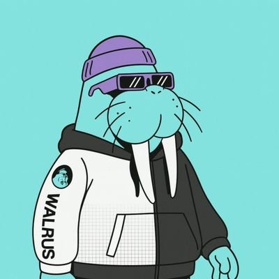 shoyen817's profile picture. 