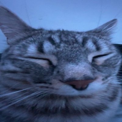 kostas, 18, ukrainian, professional russophobe, roblox niche games player