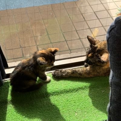 Riverman496918's profile picture. 