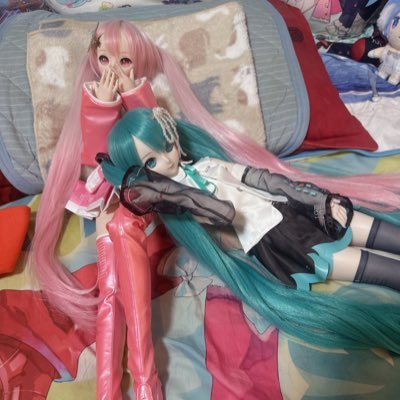最推し𝓜𝓲𝓴𝓾 HEROMIKU💘 ボカロ大好きドールオーナーです(DD初音ミクNT 桜ミクreboot) ﾈｺ大好き 気になり無言フォローします❣️ リトリン見て お別れはブロで！ 過去にトラブルがありトラウマがある為ﾘﾄﾘﾝに書いてある地雷の方は自衛の為ブロします 大体全部返信遅いです ゲーム垢でもある