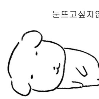 0221X0831's profile picture. 성인