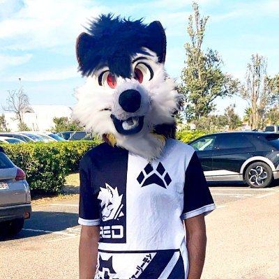 21 yo/ Gay✨/ Folf 🐺🦊 /👑 1st Fursuiter of France to past on the officiel channel of @NintendoFrance 👑
Artist and make 2D animations 🎨🖌️
Furrymon Master✨