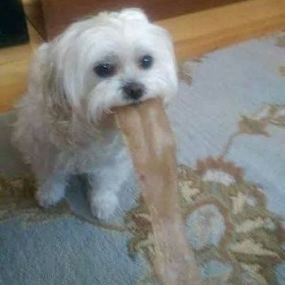 Hannmxon's profile picture. Neurosis o psicosis