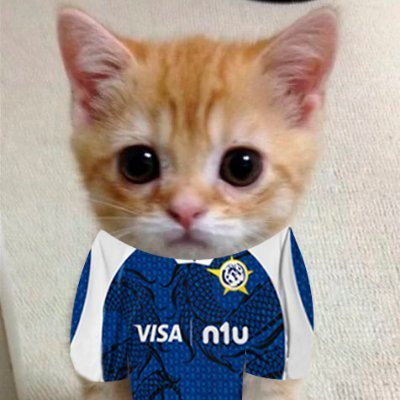 JossueGuzmn1's profile picture. 