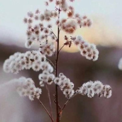 _fadme_'s profile picture. 