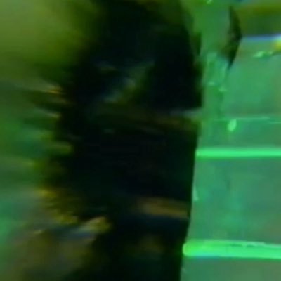 Thequeueue's profile picture. Recovering music addict | banned here 2x times | dev of @anneclank @underworlddrms