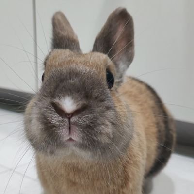 hirocker_'s profile picture. 