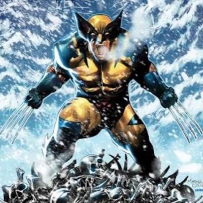 XmanSal's profile picture. Volvorine lo maximo