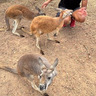 PrinceTrisden26's profile picture. 