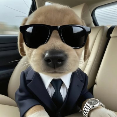 yucjp_TAT's profile picture. 料理、旅行、ゴルフが好きで、投資も趣味です😊。
新鮮な食材を自分で選んで、心を込めて料理する過程が大好きです🥬🍳。健康的で、しかも節約にもなりますね💫
バンコクのワット・ポーにも行ったことがあり、巨大な涅槃仏には本当に圧倒されました🙏
ゴルフの楽しさは、いつも予想外のことが起こるところにあります⛳️