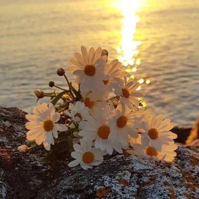 aliyeva_xa85108's profile picture. 