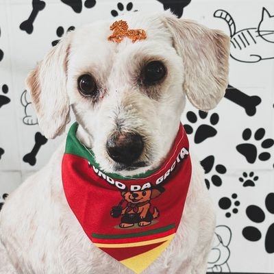 giodo001_'s profile picture. Isso mesmo que você esta lendo