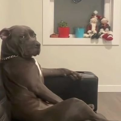 George397718422's profile picture. 