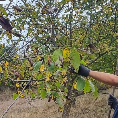 vatanamiranjan's profile picture. Chaos is a ladder!