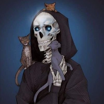 Vida antes que muerte, fuerza antes que debilidad, viaje antes que destino
Una vida sin libros es una vida no vivida