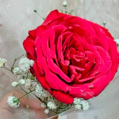 DrAmitlakhera's profile picture. In a world of worriers, be the warrior..