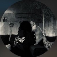 m (@y_hm22) Twitter profile photo