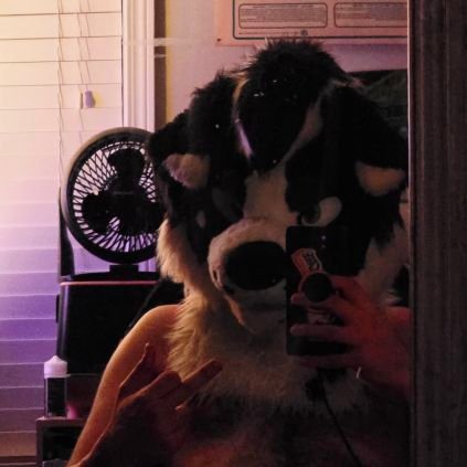 Zeph the Gryph/Rocco the Collie, 24, just a tad gay, top vers/switch, single, no minors 🔞 ~yes I like big guys deal with it :3~ #TeamPreP Main: @ZephyrusBirb