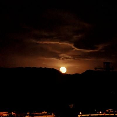 inyu_trx's profile picture. F