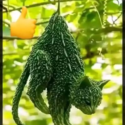 zaki_sanusi1926's profile picture. 