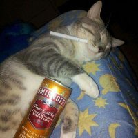 hangover (@2hangover2) 's Twitter Profile