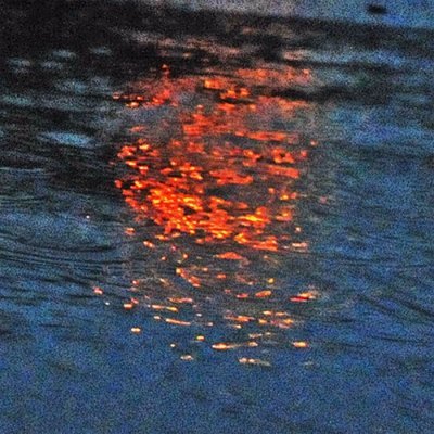 mutantfreakling's profile picture. 
