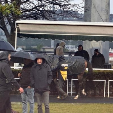 pekacar_sedat's profile picture. 