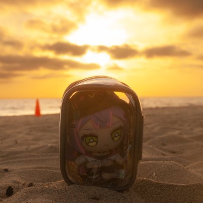 DummyArmano's profile picture. i like planes, vtubers, and sometimes combine both
Going to Tokoyami Towa's 2nd Live SHINier!