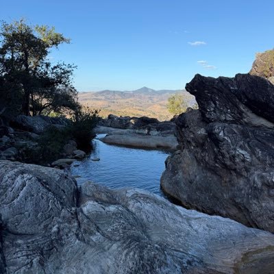 ReyengerDana's profile picture. crypto interests me! 🇧🇷 🇺🇸