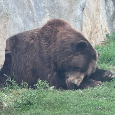 leadwithlogic20's profile picture. 🇺🇸 All people are equal. Treat others as u wish to be treated.Police are essential. Believe in free choice, personal responsibility & hard work.