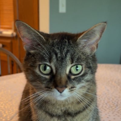 jrmay34's profile picture. 