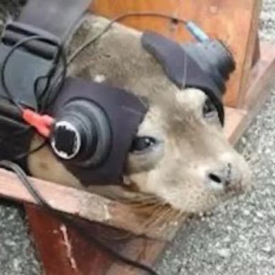 ReedCRevell's profile picture. Adventurer