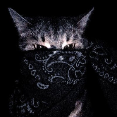 nexxusmodder's profile picture.