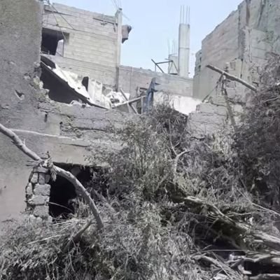 Umm Celine from Gaza.
We have been subjected to a war of extermination in Gaza and we want it to stop.
Help us donate to feed ourselves and keep us alive.