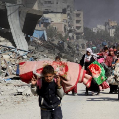 Light_Muslim's profile picture. 