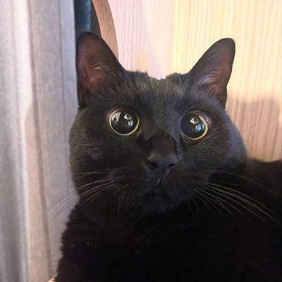 twinkdeleuziano's profile picture. 