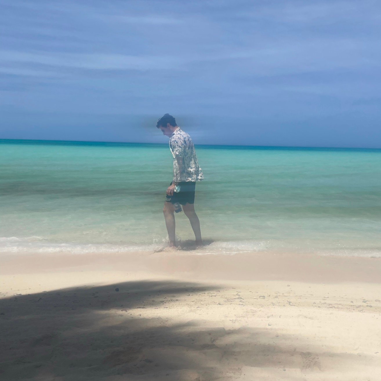 leapthelongterm's profile picture. 