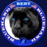 Bert7058's profile picture. MilitaryFam 🇺🇸 Some Senators WILL be primaried 11/26 Trump/Vance 🇺🇸🦅🇺🇸