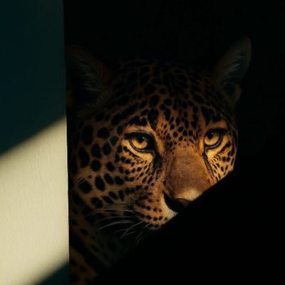 KayllaneRibeir5's profile picture. fiz isso aq pra procrastinar 🤣